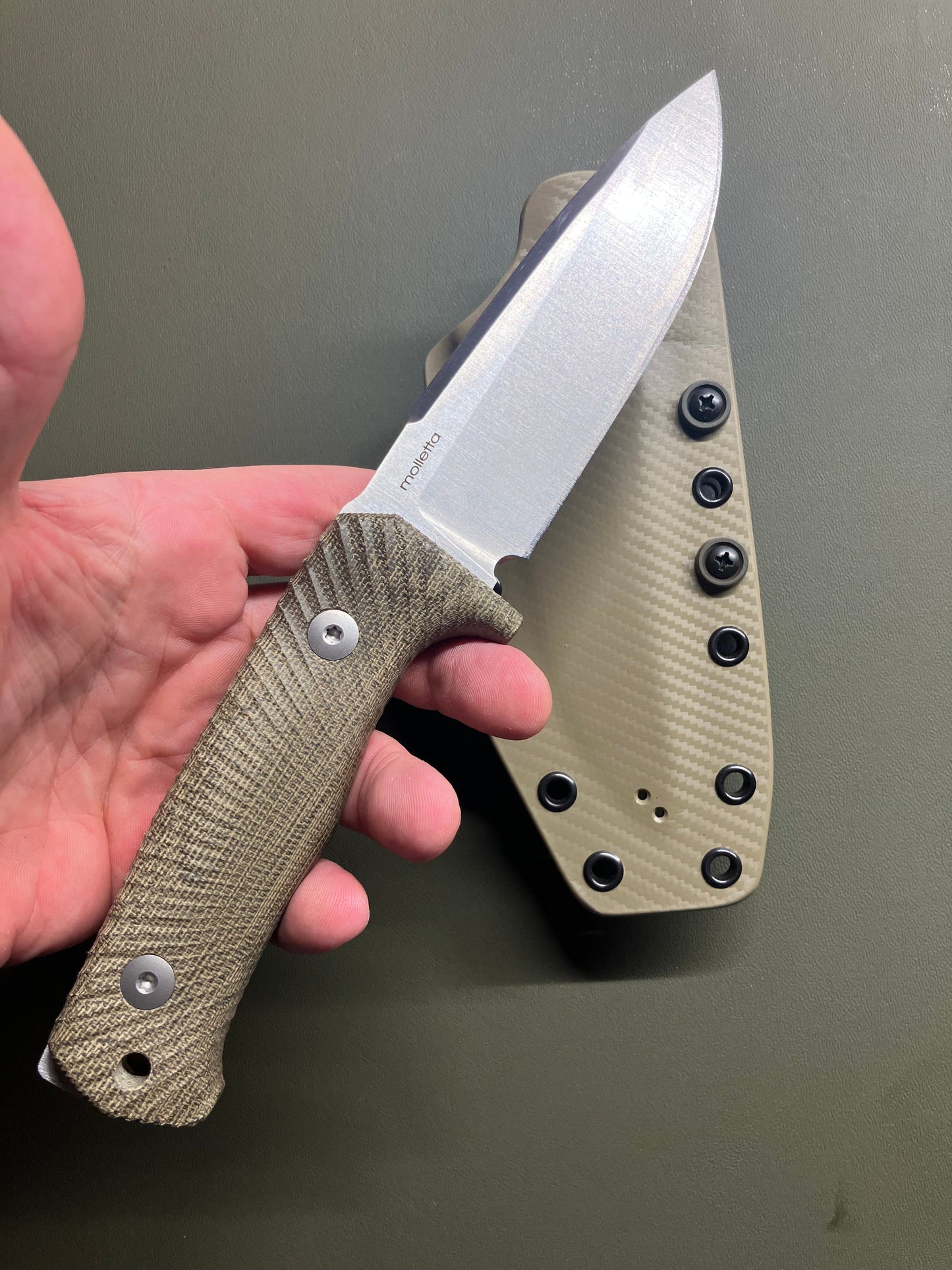 🦁 LionSteel T5 w/ Custom Kydex Sheath – Niolox Steel Meets Combat-Ready Class 💥